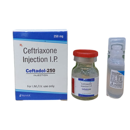 CEFTADOL-250MG Injection